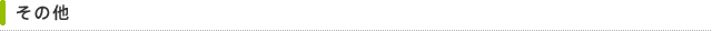 その他